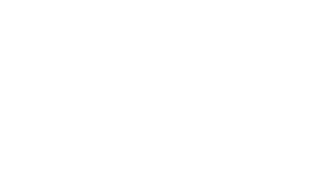 MetroYan